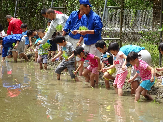 高校生と田植え