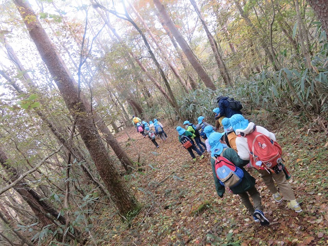 矢崎の森へ