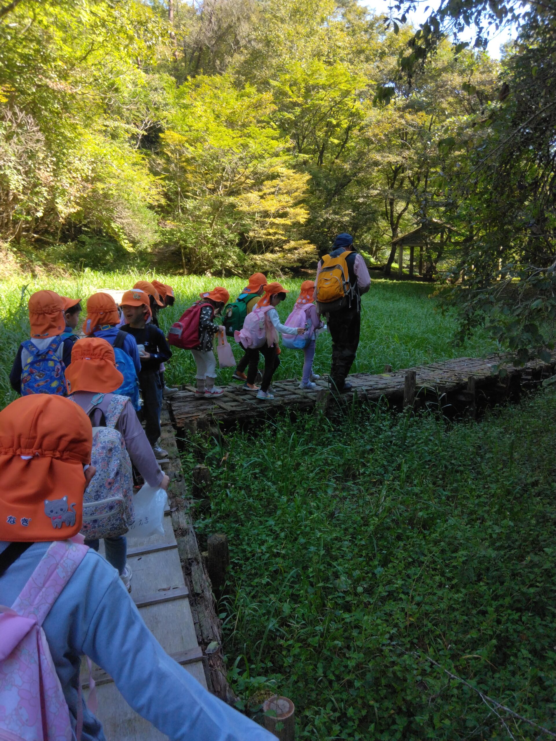 5歳児ぞう組が矢崎の森に行ってきたよ⛰️