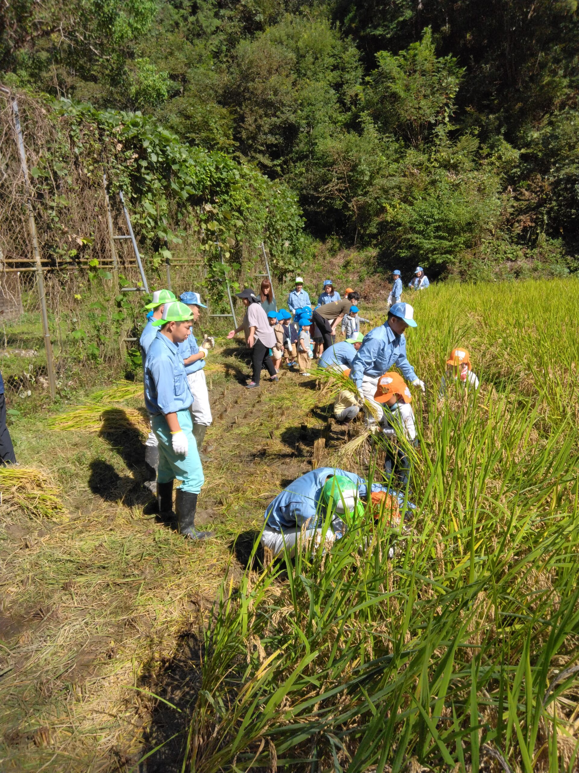 地域の方々との交流体験活動