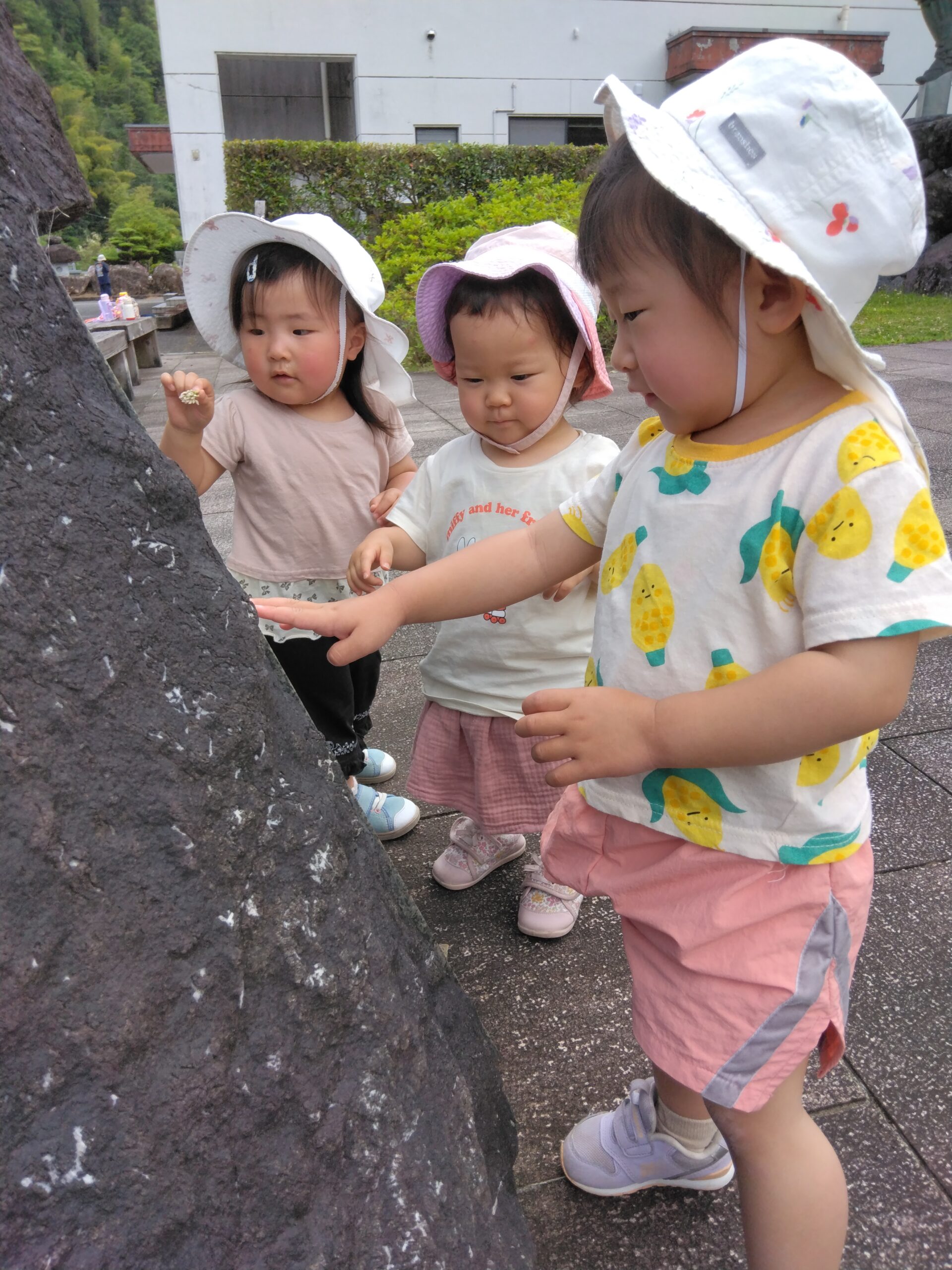 お散歩へ。何か見つけたかな？いろいろな物に興味津々です</p